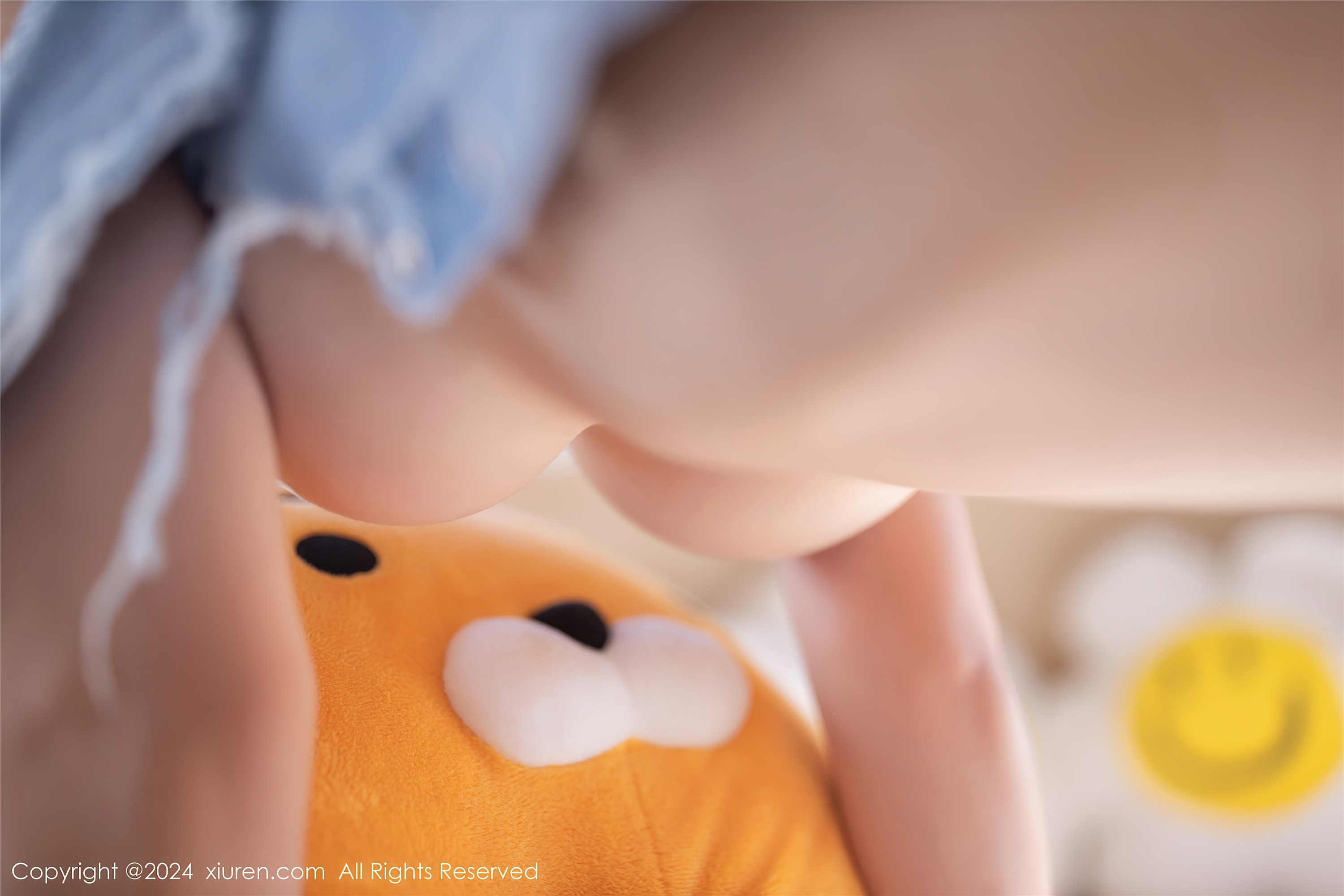 Xiuren秀人网 2024.01.17 NO.7973 熊小诺